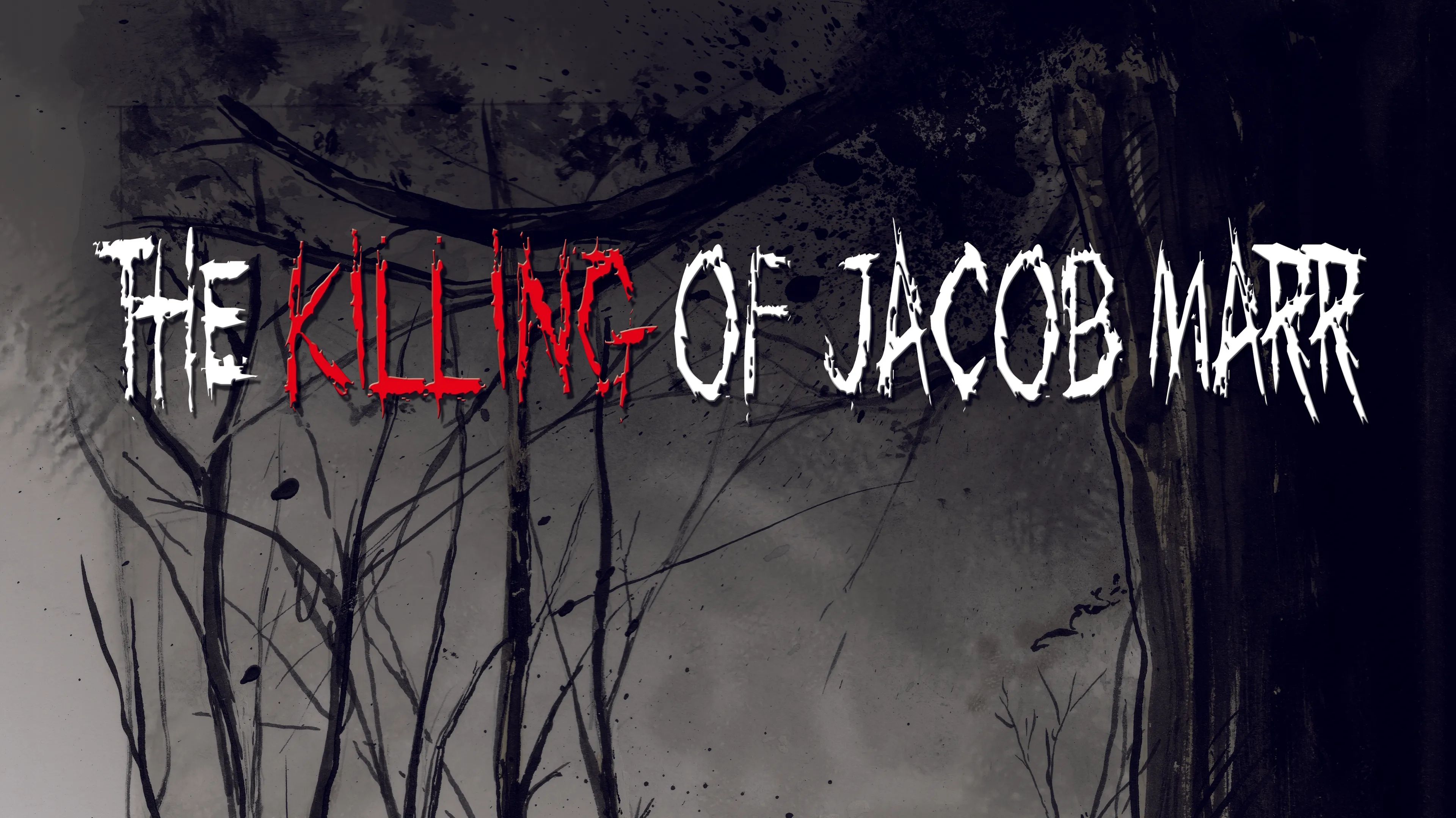 The Killing of Jacob Marr poster